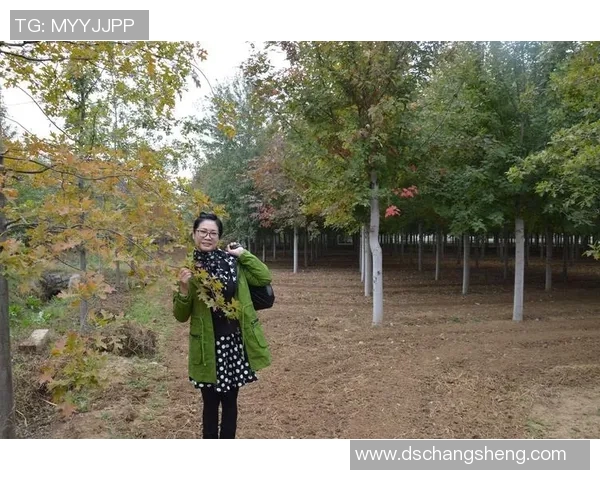 马漂亮热爱踢足球的明星之路与梦想追逐的精彩故事